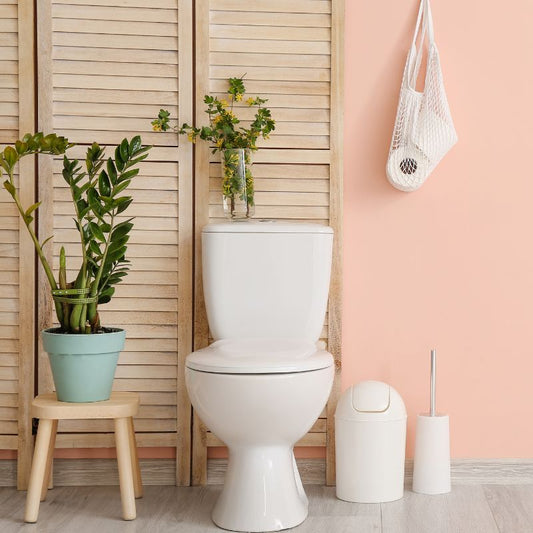 Comment nettoyer ses toilettes